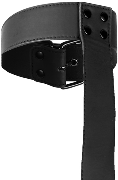 Collar & Handfessel-Set zur Körperfixierung - Harness 4