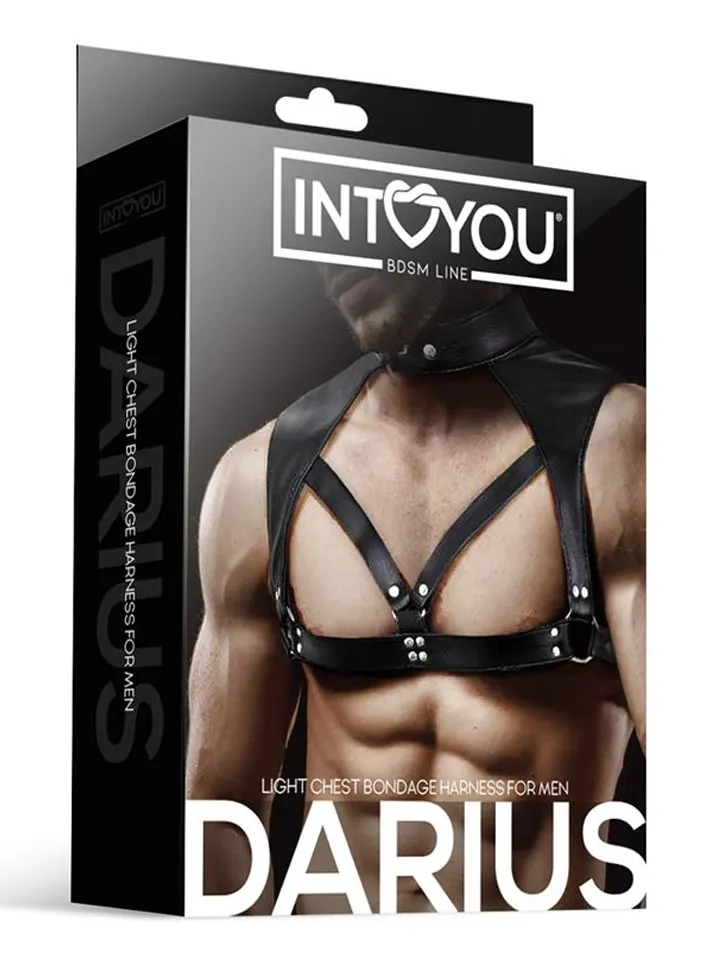 Darius Chest Bondage Harness - Bondage-Set 1 [full]