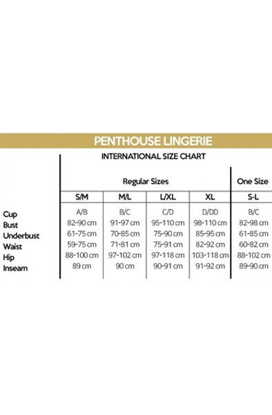 Penthouse Teaser Schwarz - Französisches Dienstmädchen Kostüm 4