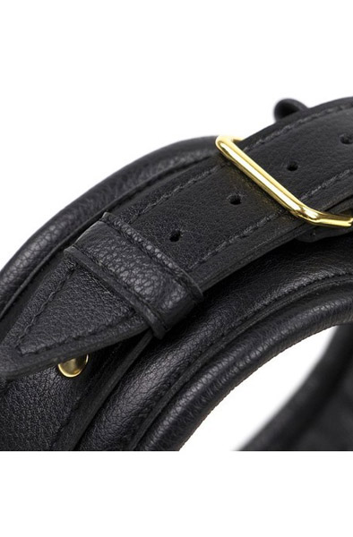 Premium Comfort Gold Collar - Halsband & Leine 2