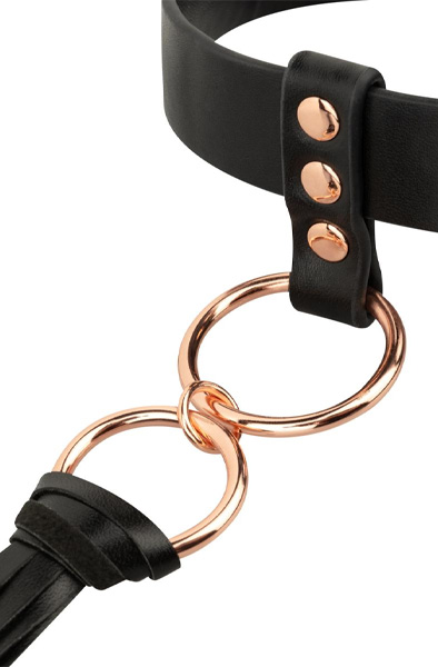 Rosy Gold Halsband mit Peitsche - Halsband 4