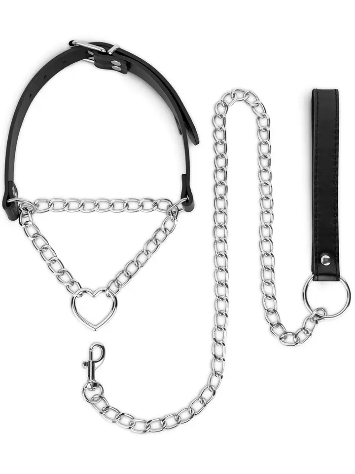 Silbernes Halsband mit Kette - Halsband & Leine 2