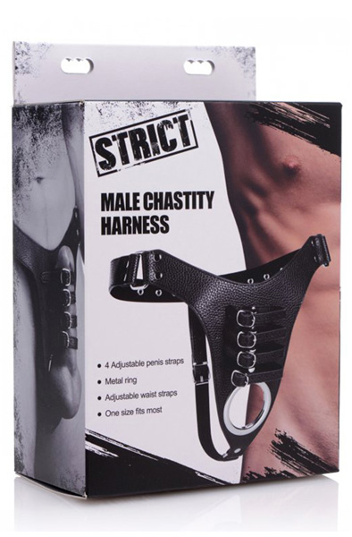 Strict Male Chastity Harness - Keuschheitsgürtel 3