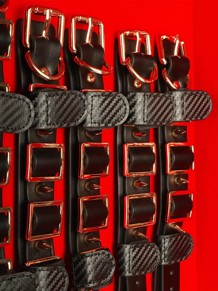 Taboom Desires Masterpiece Case - Bondage-Set 4 [full]