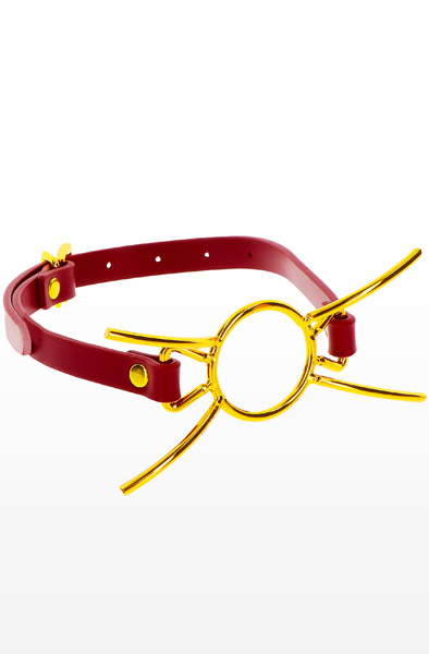 Taboom Open Mouth Spider Gag - Knebel 2
