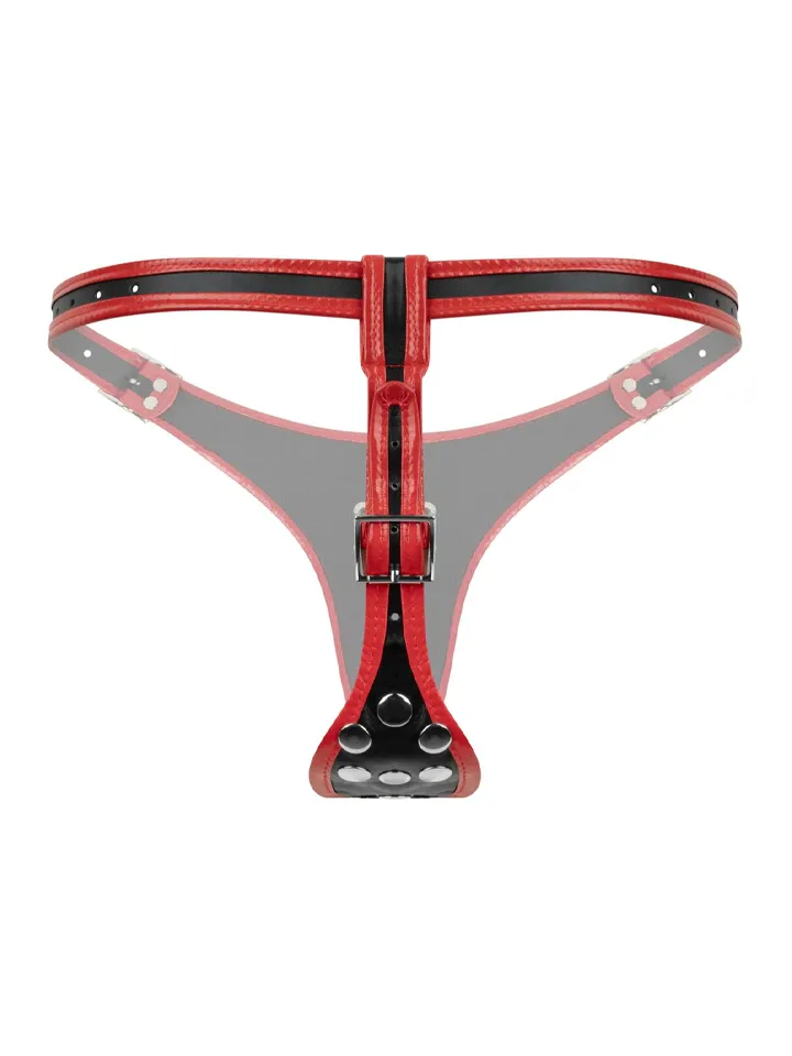 Triple Dildo Strap-On Harness - Umschnalldildo mit Geschirr 2 [full]