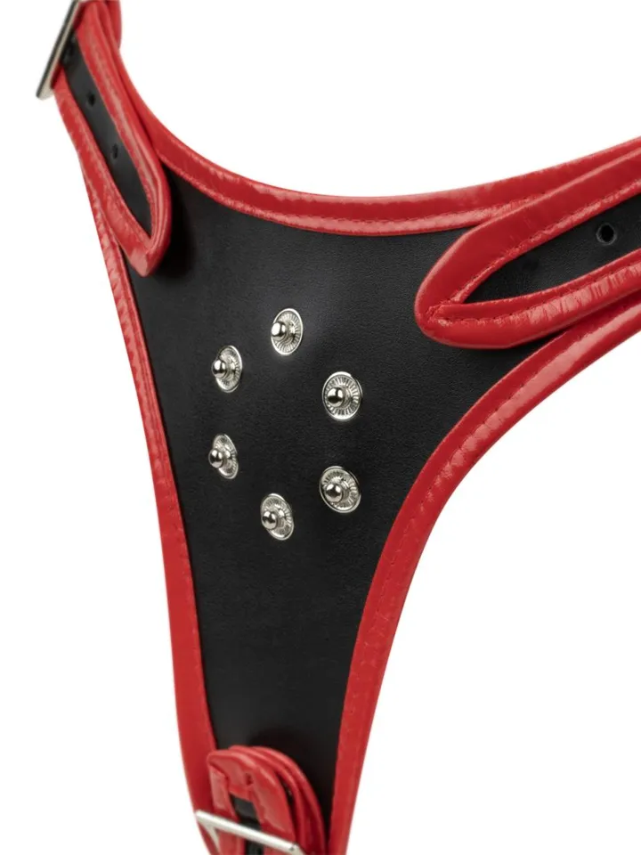 Triple Dildo Strap-On Harness - Umschnalldildo mit Geschirr 3 [full]