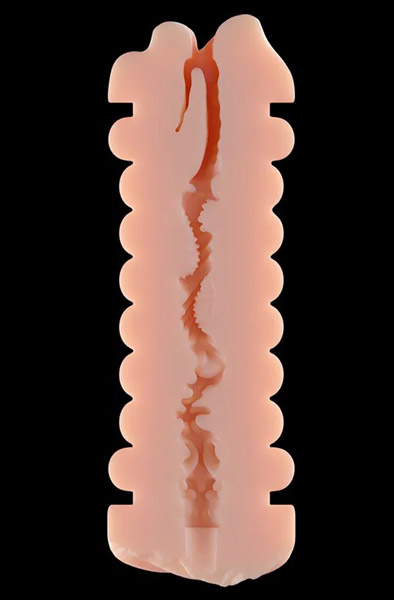 Virgin-Skin Double Blowout Vagina & Mund - Stroker 5