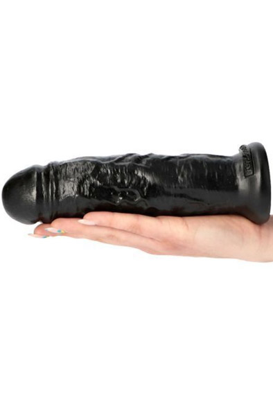 Diego Dildo Schwarz 21 cm - Dildo 2