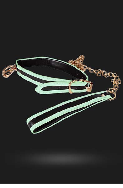 Glow-in-the-Dark Halsband mit Leine - Halsband & Leine 2