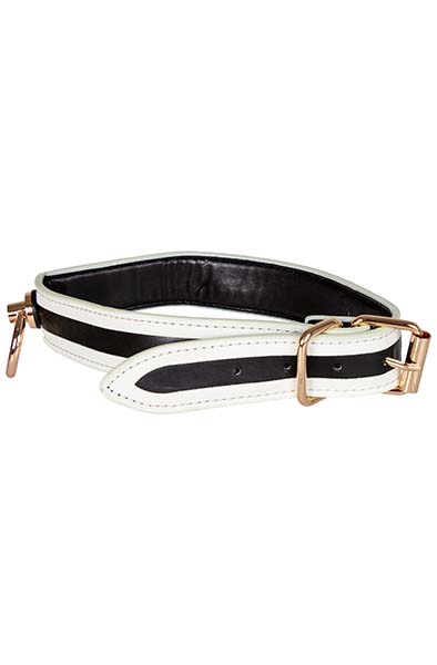 Glow-in-the-Dark Halsband mit Leine - Halsband & Leine 4