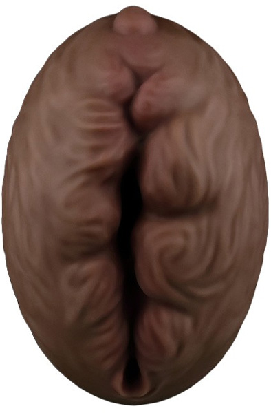 Lovetoy Aliens Pie Masturbator #3 Braun - Masturbator 3