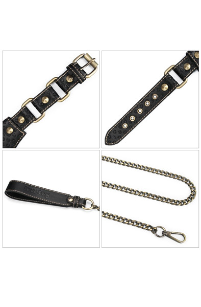 Lovetoy Rebellion Reign Collar With Chain - Halsband & Leine 3