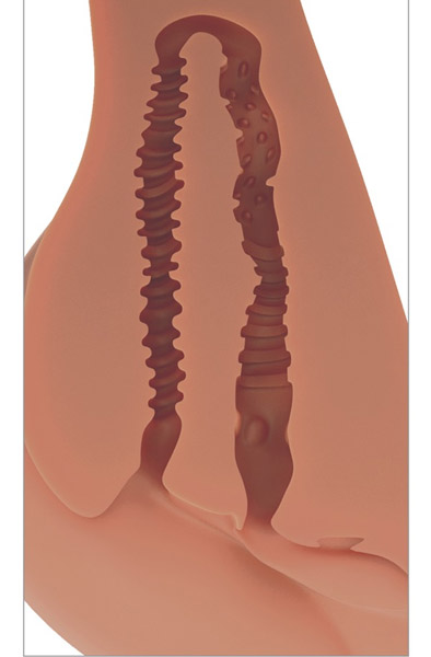 Pipedream PDX Plus 360 Banger Tan - Sexpuppe 6