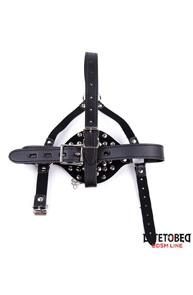 Pure Gesichtsgurt Knebel mit Toilettendeckel verstellbar - Knebel mit Geschirr 3