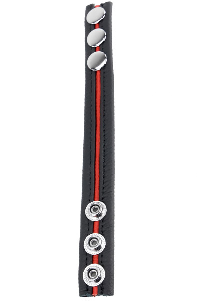 Red Cockring aus Leder in Schwarz/Blau - Cockring 2