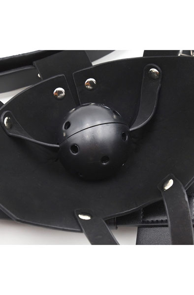 SM Harness Kopfmaulkorb Schwarz - Knebel mit Geschirr 7