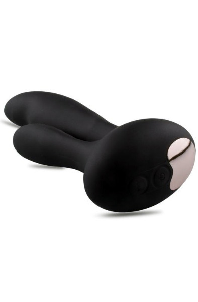 TOYZ4LOVERS Doppelter Analstimulator - Prostata-Vibrator 2